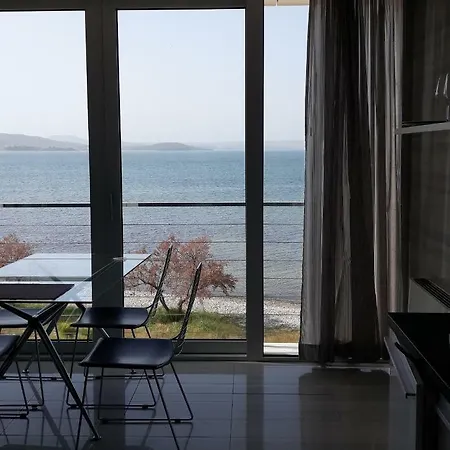 St.barth שיבניק